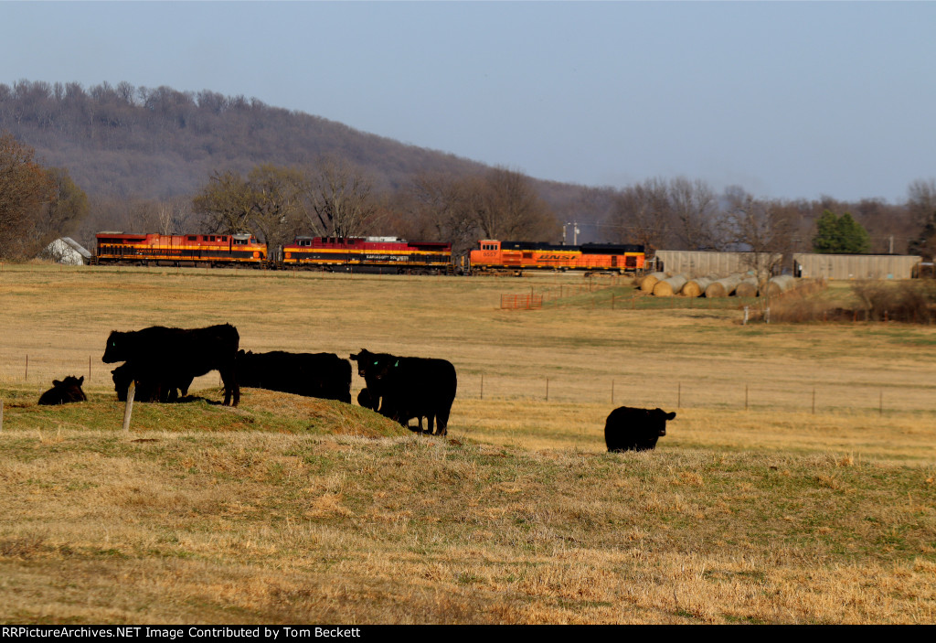 DPU and cows, part 2